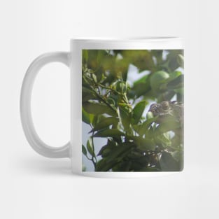 cll iguana Mug